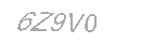 Güvenlik Kodu