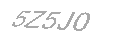 Güvenlik Kodu