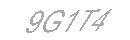 Güvenlik Kodu