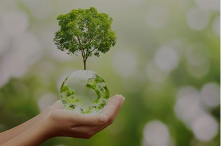 Çevre Dostu Malzemelerle Sürdürülebilir Yapılar!